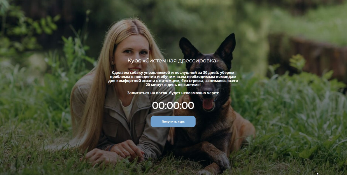 Без имени.png