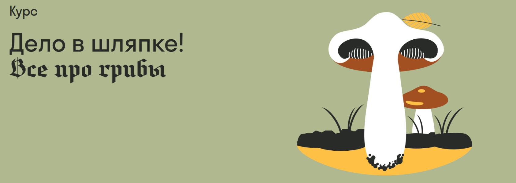 Без имени.png