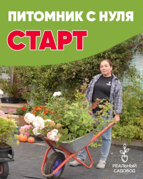 Без имени.png