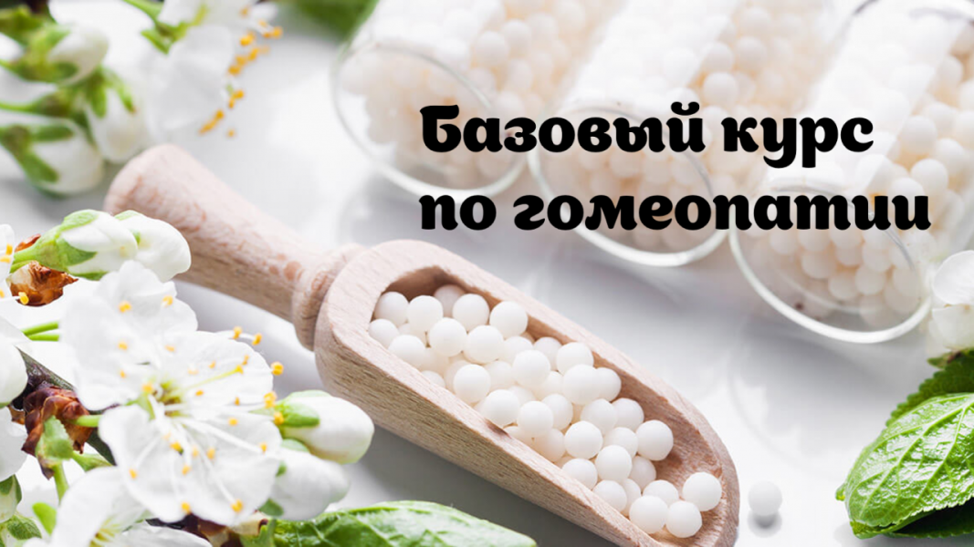 Без имени.png