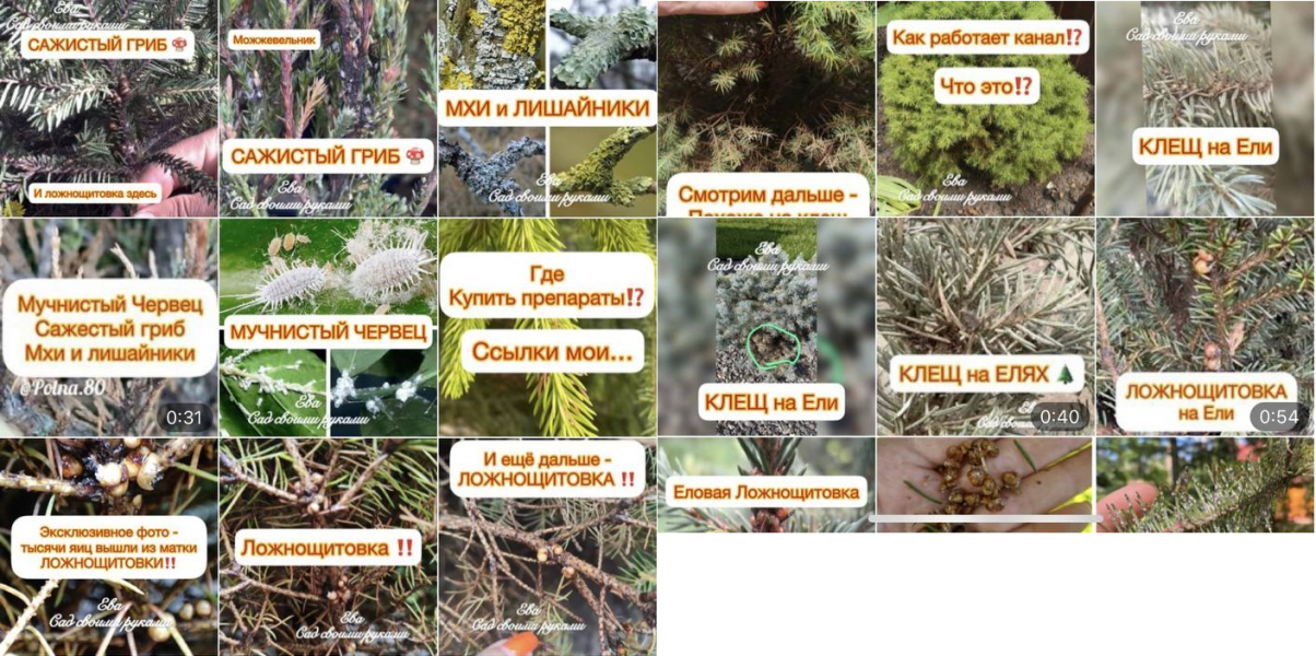 Без имени.png