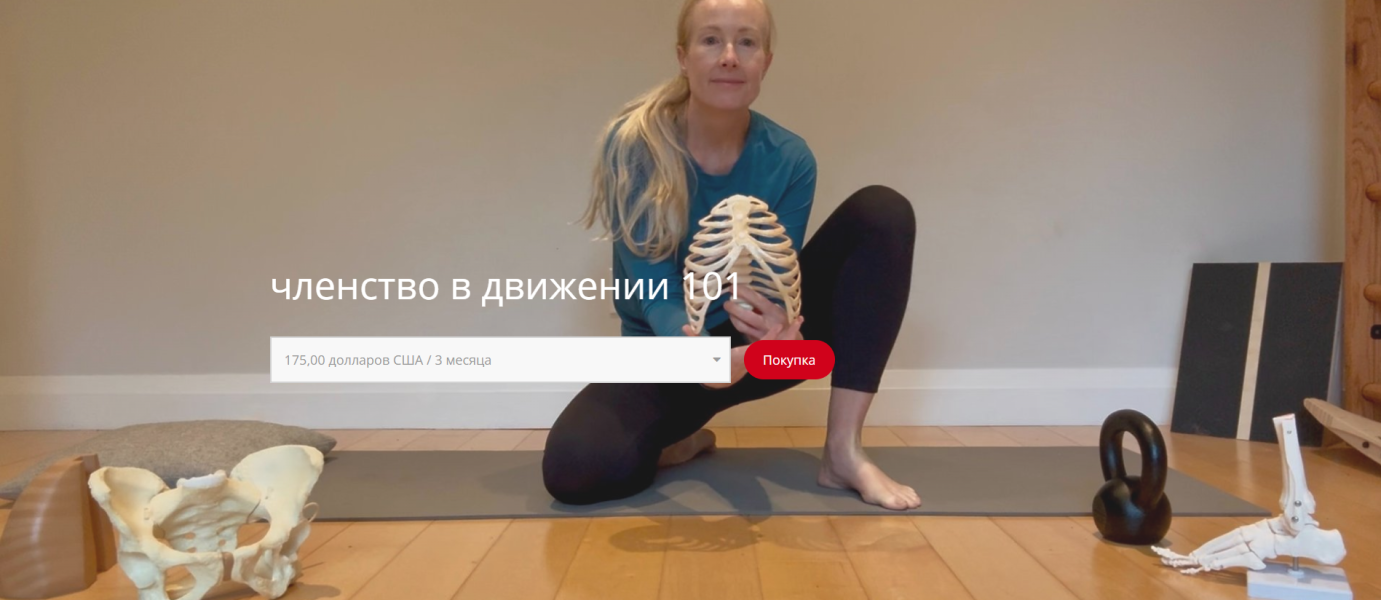 Без имени.png