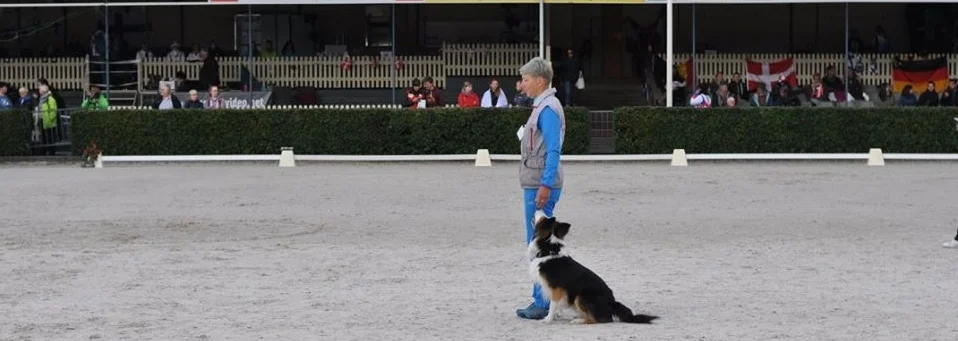 Без имени.png