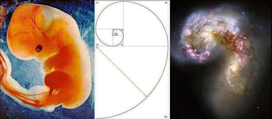 Без имени.png