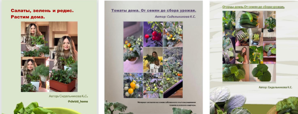 Без имени.png