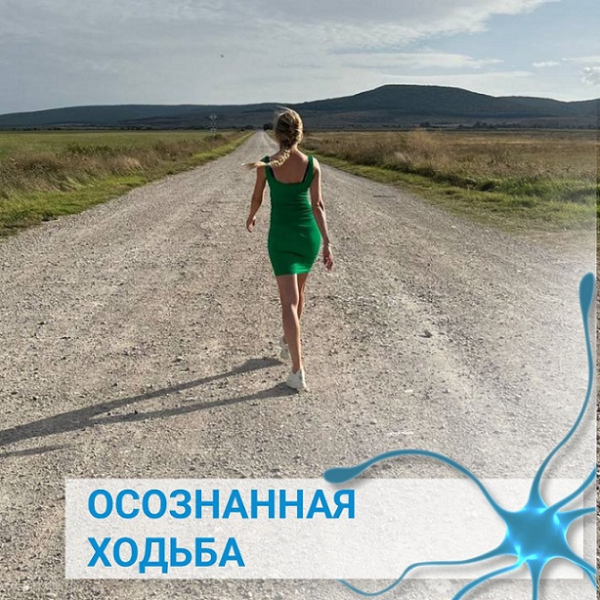 Без имени.png