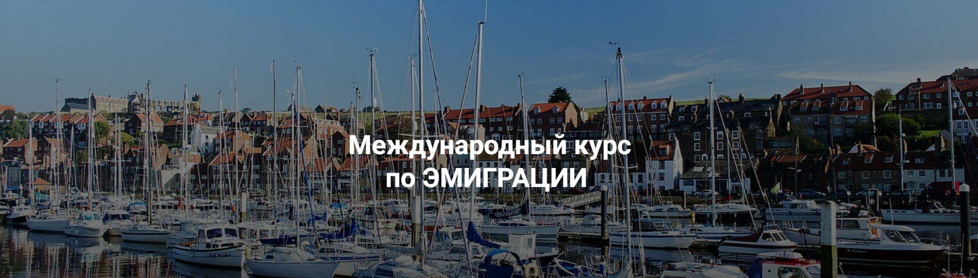 Без имени.png