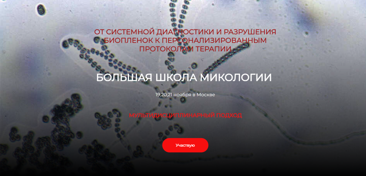 Без имени.png