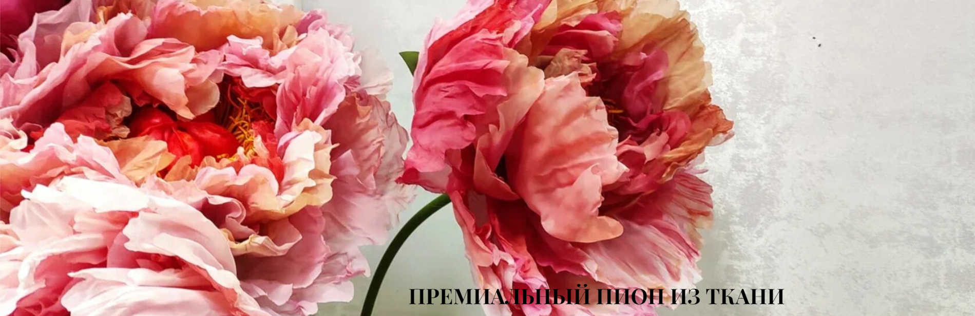 Без имени.png