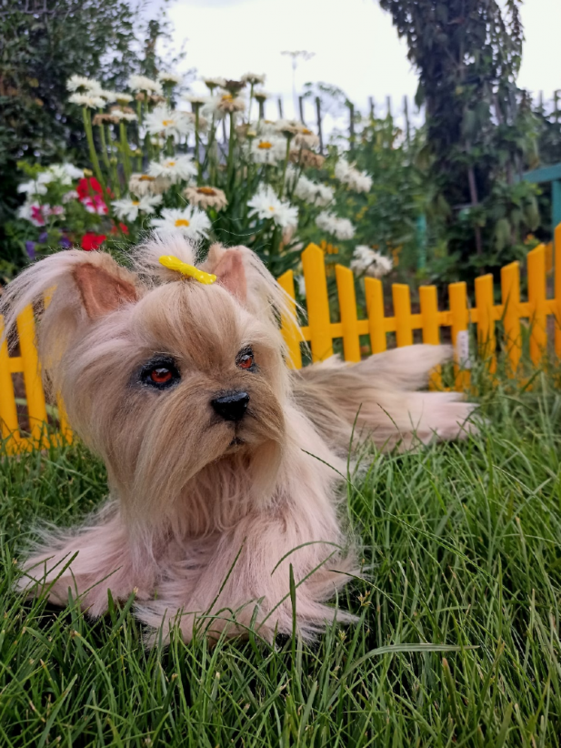 Без имени.png