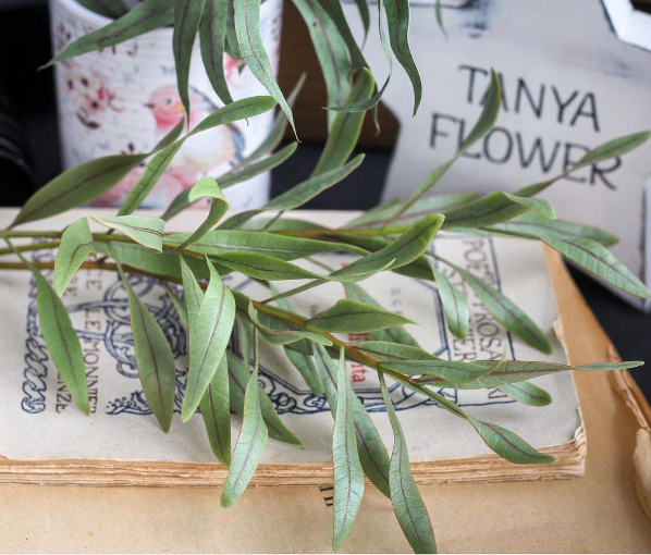 Без имени.png