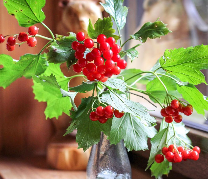 Без имени.png