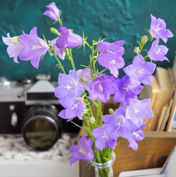 Без имени.png