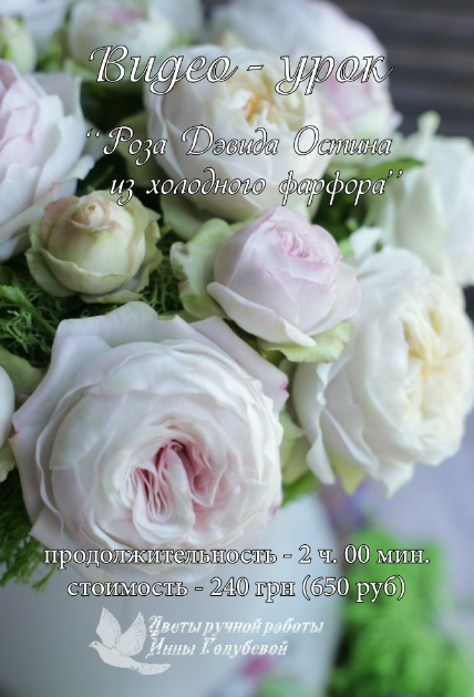 Без имени.png