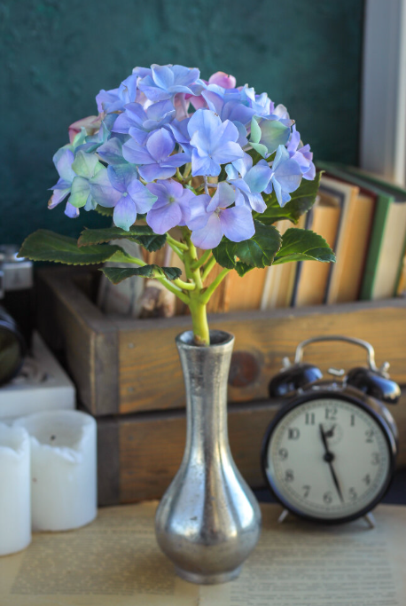 Без имени.png