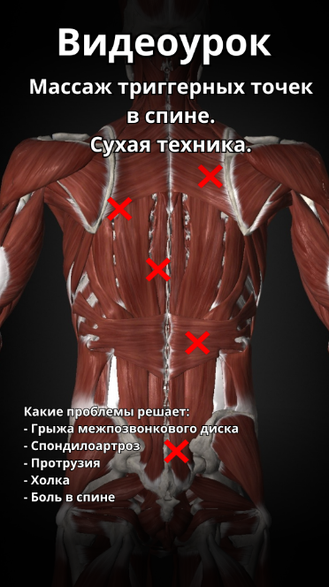 Без имени.png