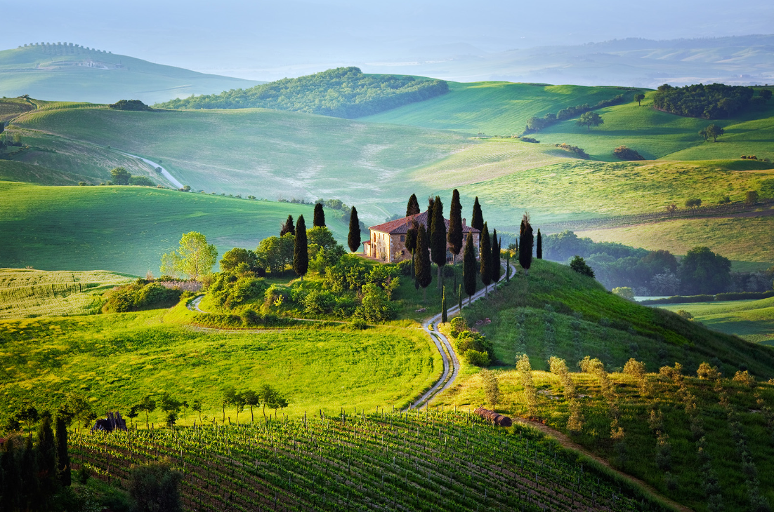 Без имени.png