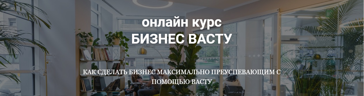 бизнес васту обложка.jpg