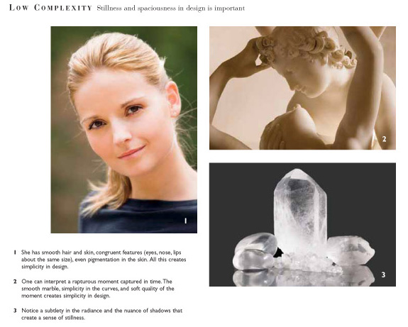 Book Preview (7).jpg