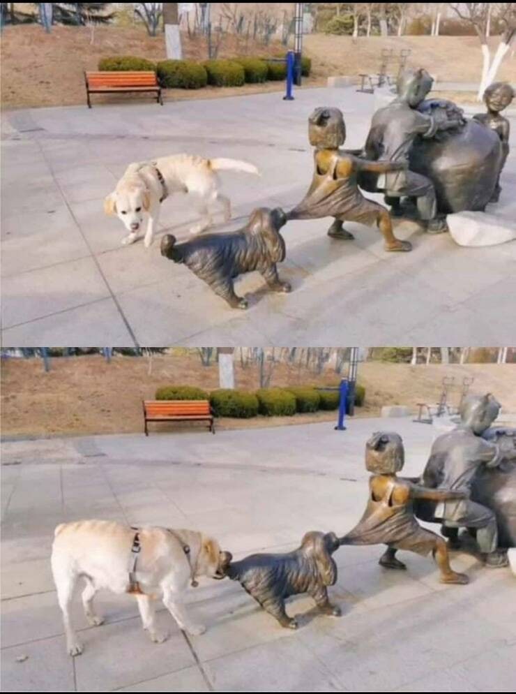 ч-0 Давай помогу.jpg