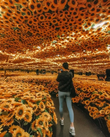 ч-0 Желтый рай.jpg