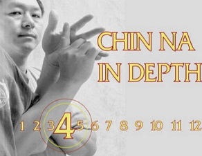 цинь на 2-4-м.jpg