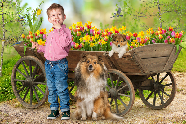 цветы для мамочки.jpg