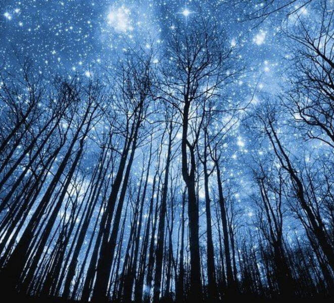 дараган (1).jpg