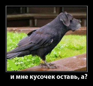 demotivatory_5 копия копия.jpg