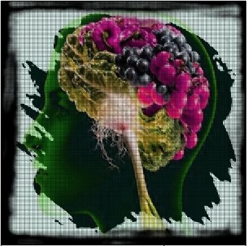 Diet on the Brain.JPG