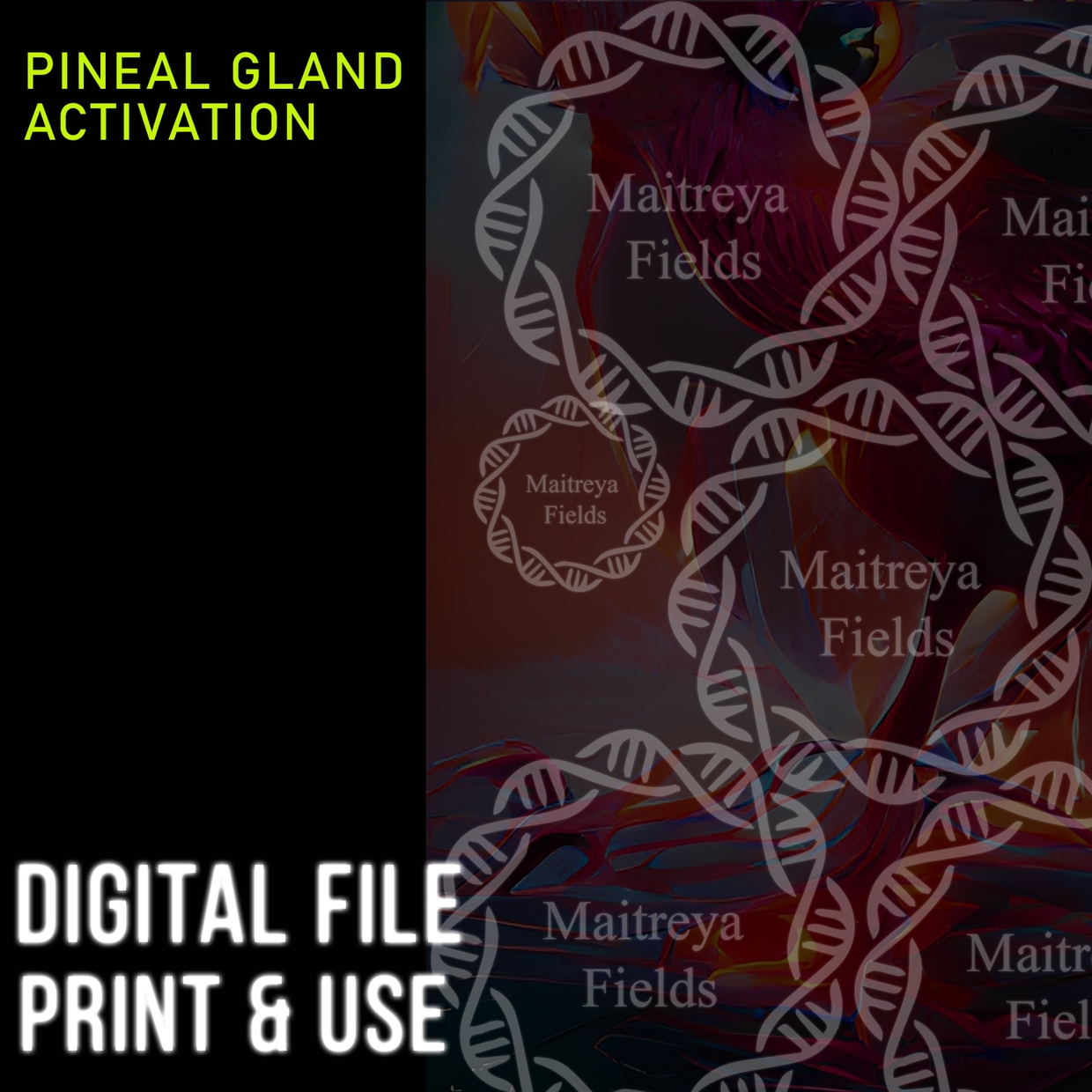 digital_road (1).jpg