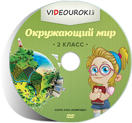 dvd-disk.png