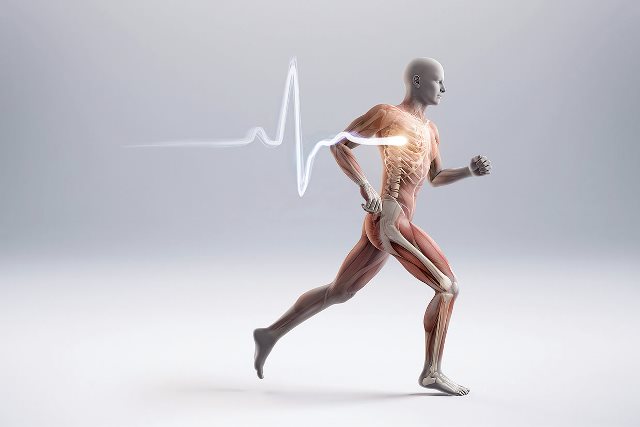 exercise_bone_density_2x.jpg