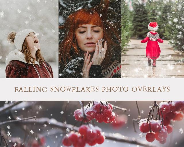 FallingSnowflakesPhotoOverlaysforPhotographers_1_900x.jpg