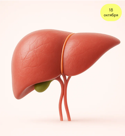 FireShot Capture 013.png