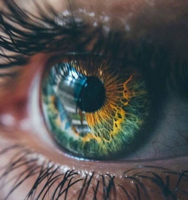 глаз.jpg
