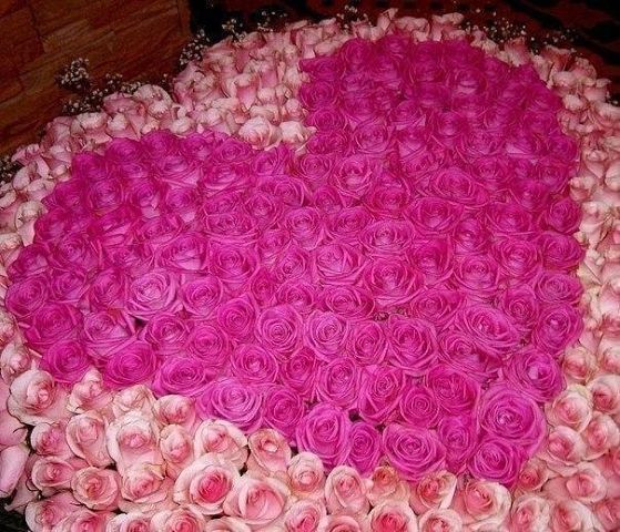 heart-many-rose.jpg