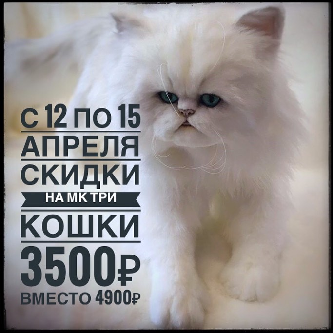 i.soboll_171632639_116901587166145_1669199308533989157_n.jpg