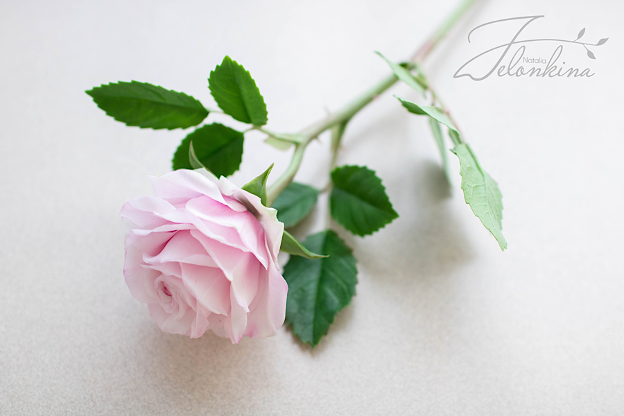 IMG_4191.png
