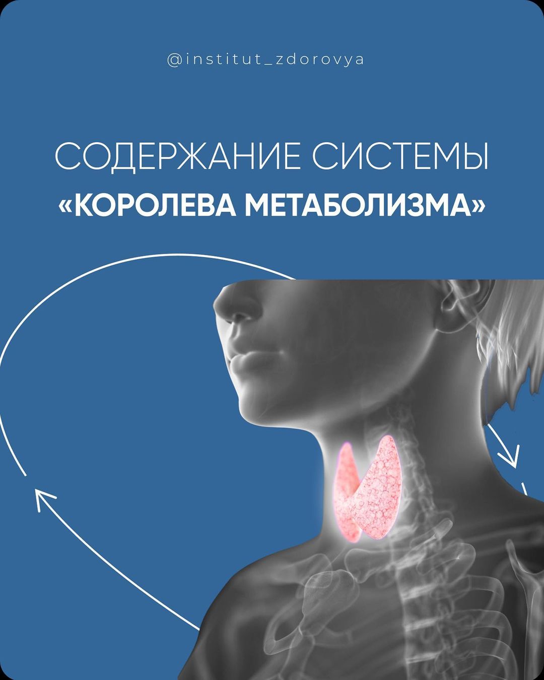 institut_zdorovya_279067098_1402318766871078_7186385125784779993_n.jpg