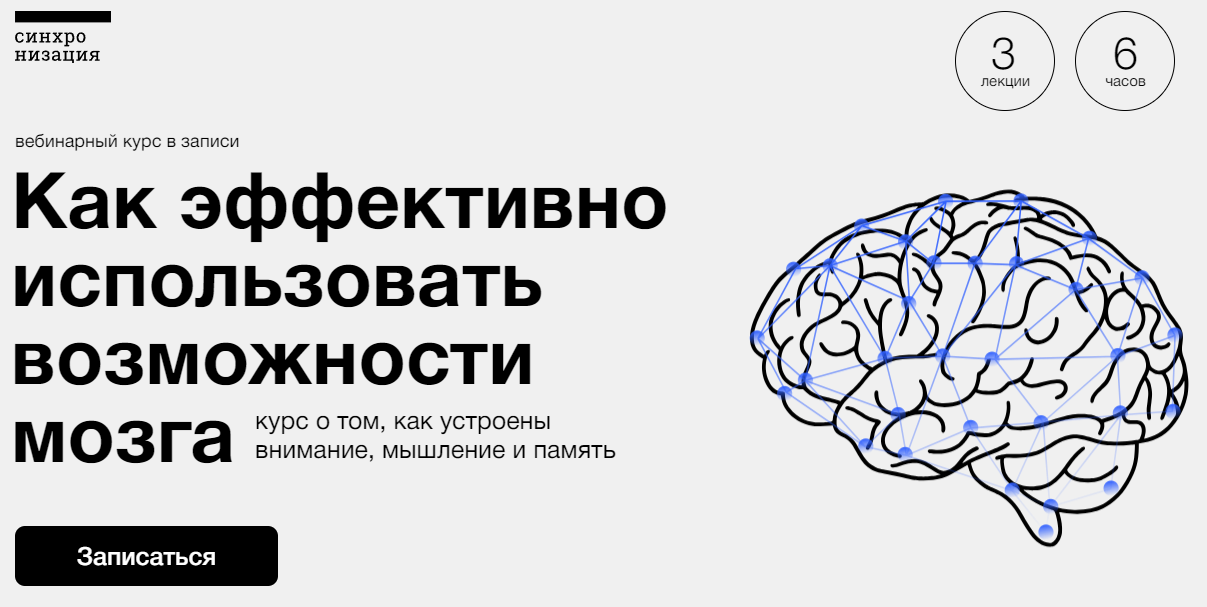 Как эффективно использовать возможности мозга - Синхронизация.png