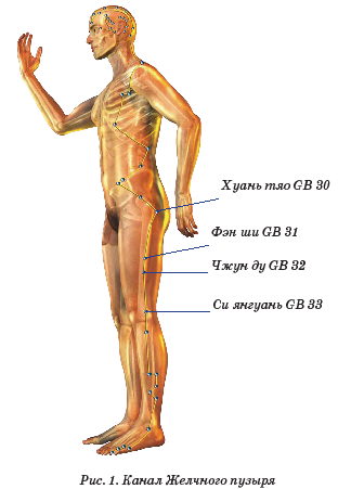 канал желчного пузыря 3.png