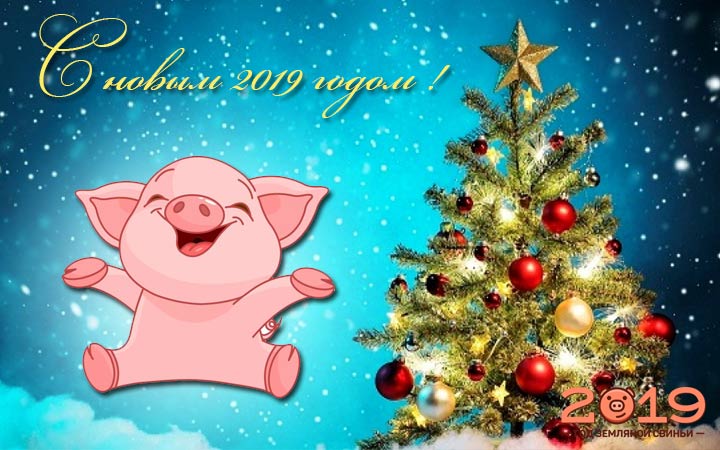 kartinki-na-novyj-2019-god-45.jpg