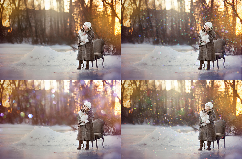 Kimla Designs Christmas Lights Overlays (1).jpg