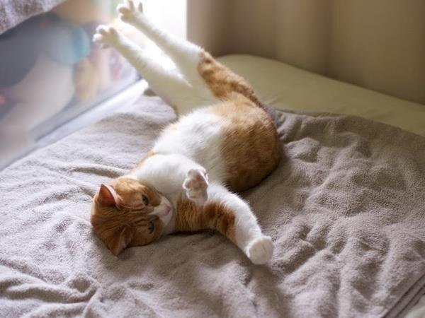 Когда накрасила все ногти и ждешь пока все высохнет.jpg