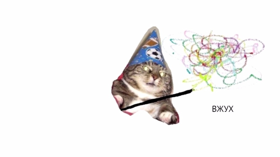 кот вжух.jpg