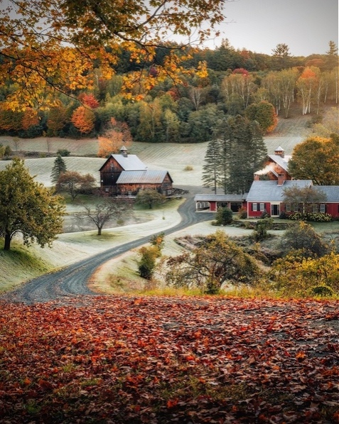 Κтo- нибудь oтвезите меня cюдa...jpg