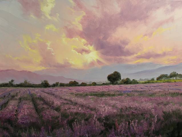 лавандовое поле.jpg