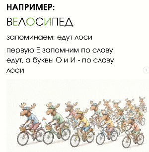 лоси.png