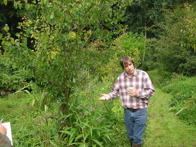 martincrawfordforestgarden.jpg